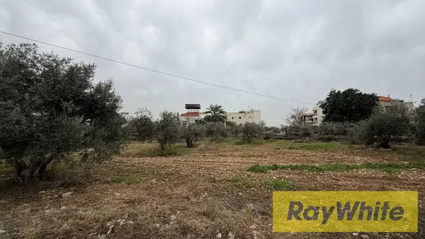 Land For Sale In Amchit Jbeil