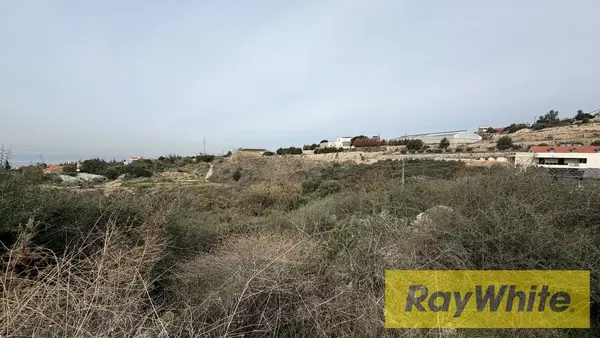 Land For Sale In Edde Jbeil