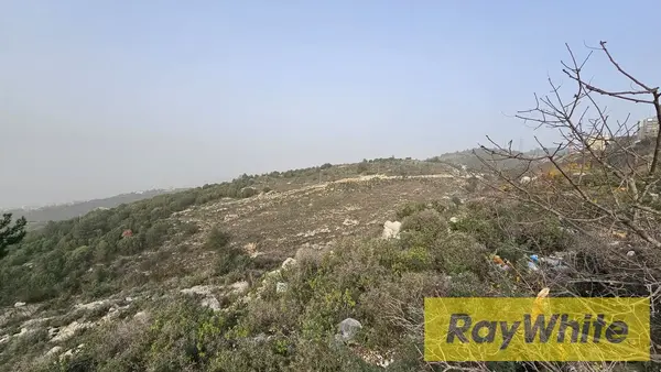 Land For Sale In Halat Jbeil