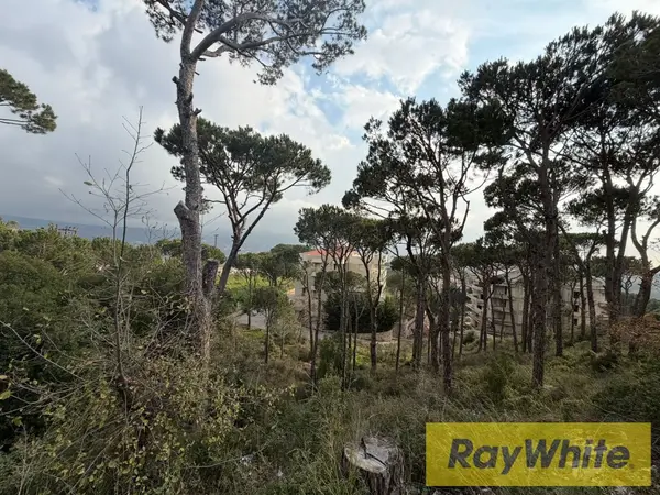 Land For Sale In Mar Moussa – 1,313 Sqm