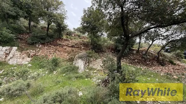 Land For Sale In Breij Jbeil