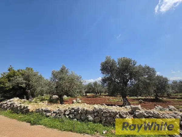 Land For Sale In Nakhle Koura