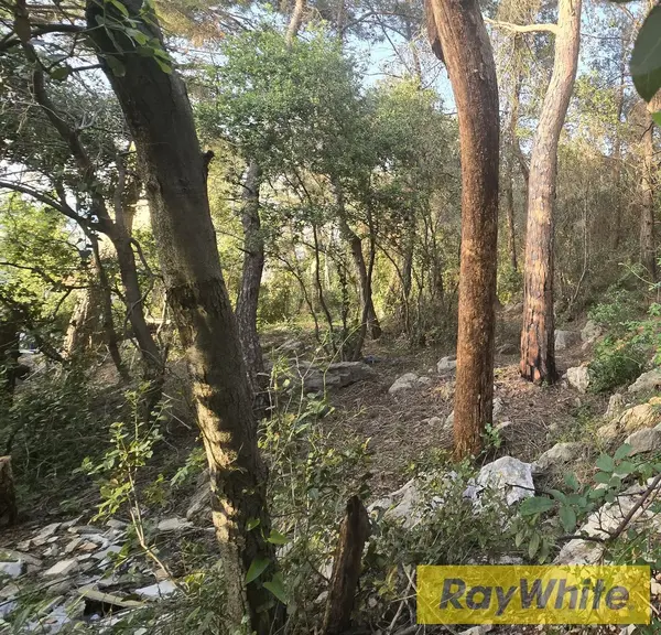 Land For Sale In Hbous | Prime Location