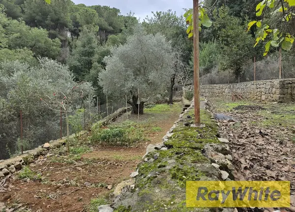 Catchy Deal – Land For Sale In Beit El Kiko, Cornet Chehwan