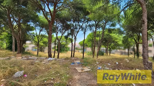 Land For Sale In Yarzeh