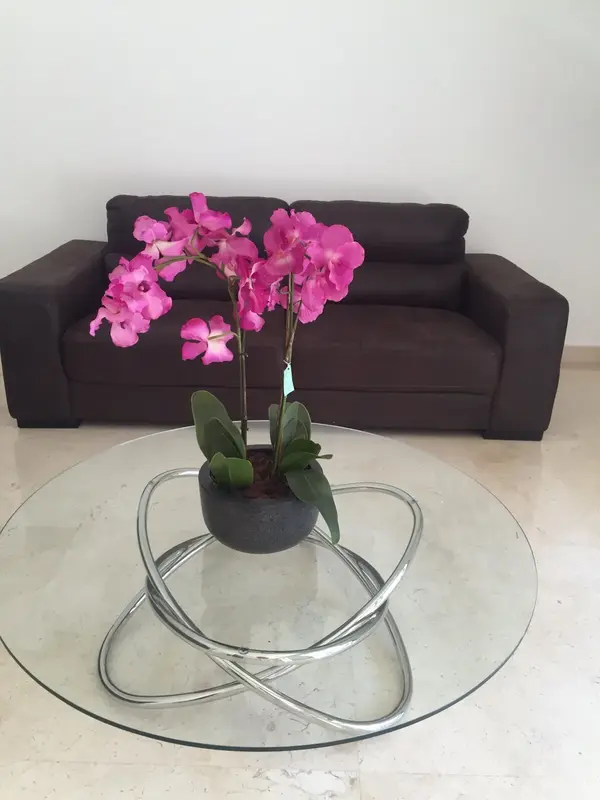 Apartment for Rent Furnished in Achrafieh