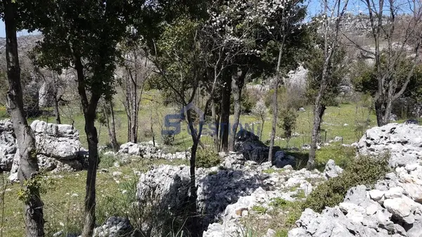 Land for Sale in Feytroun