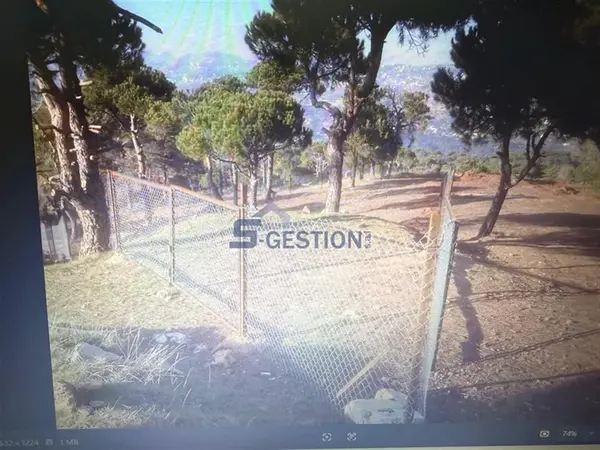 Land for Sale in Baskenta