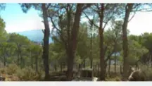 Aayroun land 15,100 sqm for Sale prime location #6590