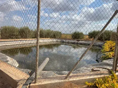 Spain get your residency! townhouse with a large plot 98580376