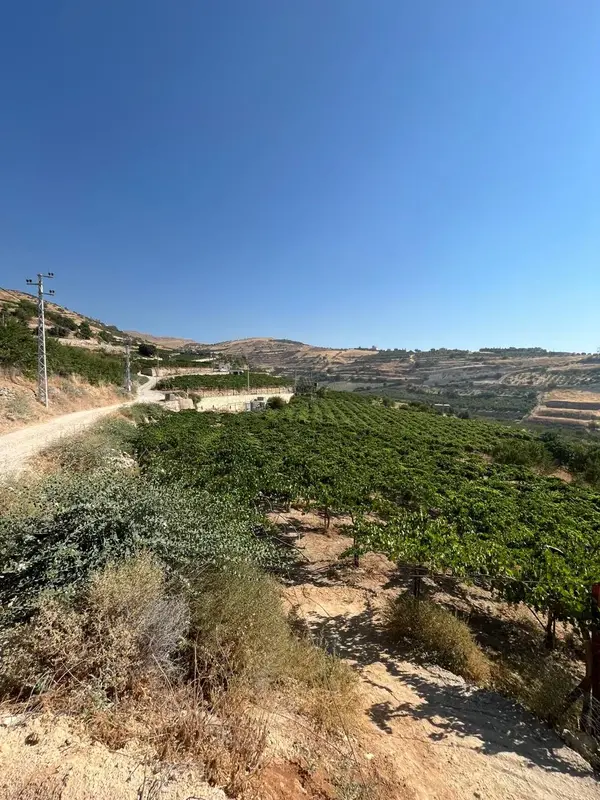 Maalaka aradi land 2176 sqm for Sale open view #6971